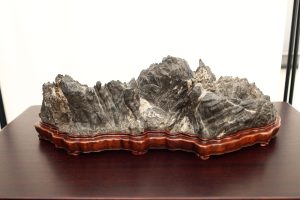Mostra suiseki Bonsai in Primo Piano a Staranzano