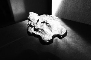 Mostra suiseki Bonsai in Primo Piano a Staranzano