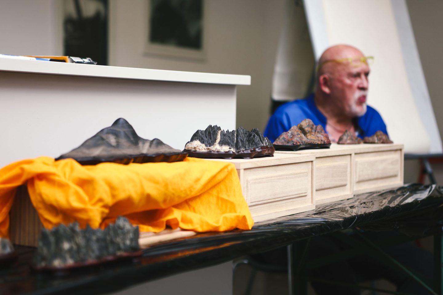 Ettore Gardini ospite della mostra Bonsai in Primo Piano 2025