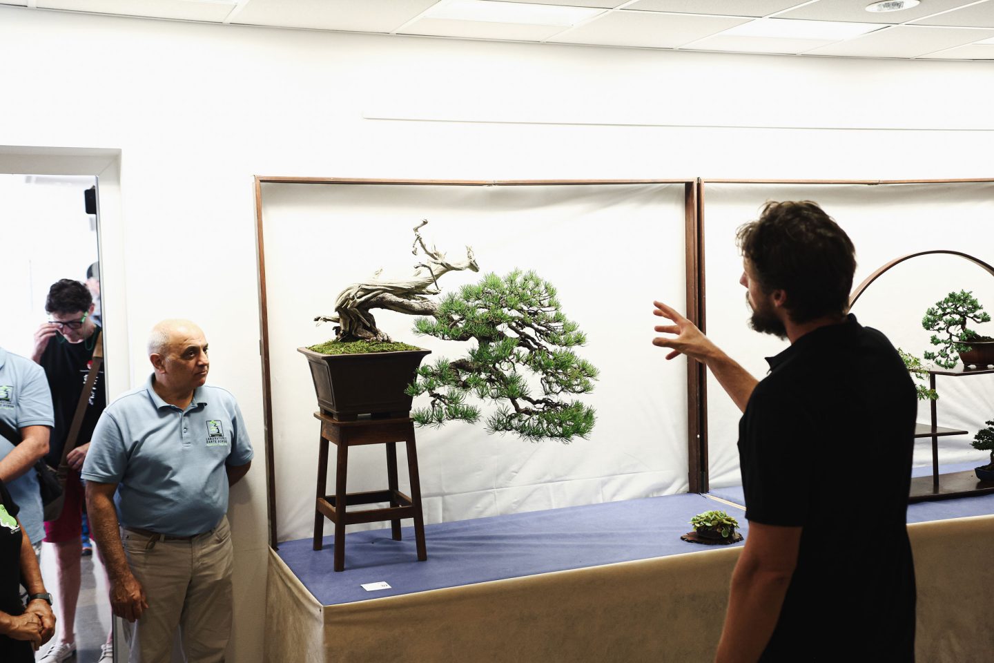 Valutazione delle piante durante la mostra Bonsai in Primo Piano
