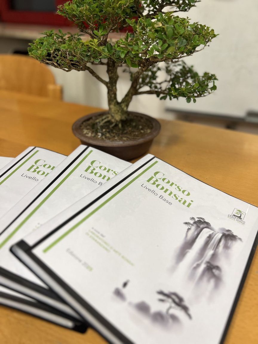 La dispensa del Corso Base Bonsai