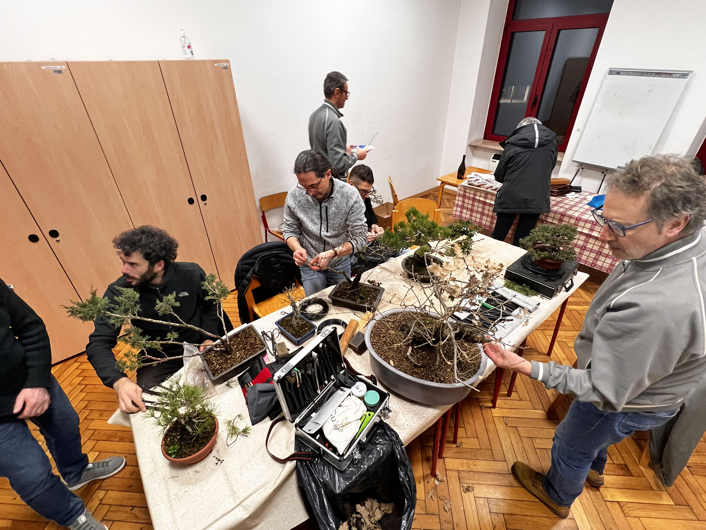 Laboratorio d’Arte Bonsai Staranzano Serata in Club – Base Laboratorio d'Arte Bonsai