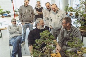 Laboratorio d'Arte Bonsai Staranzano – Workshop con il Maestro Francesco Santini