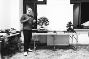 Esempio di esposizione bonsai nel tokonoma durante una lezione del Club