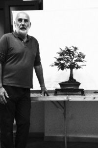 Lezione di bonsai e suiseki con Andreas Geremia al LAB Staranzano