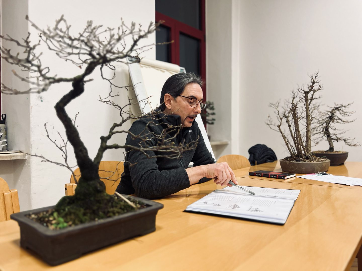 Laboratorio d'Arte Bonsai Staranzano – Lezione Corso