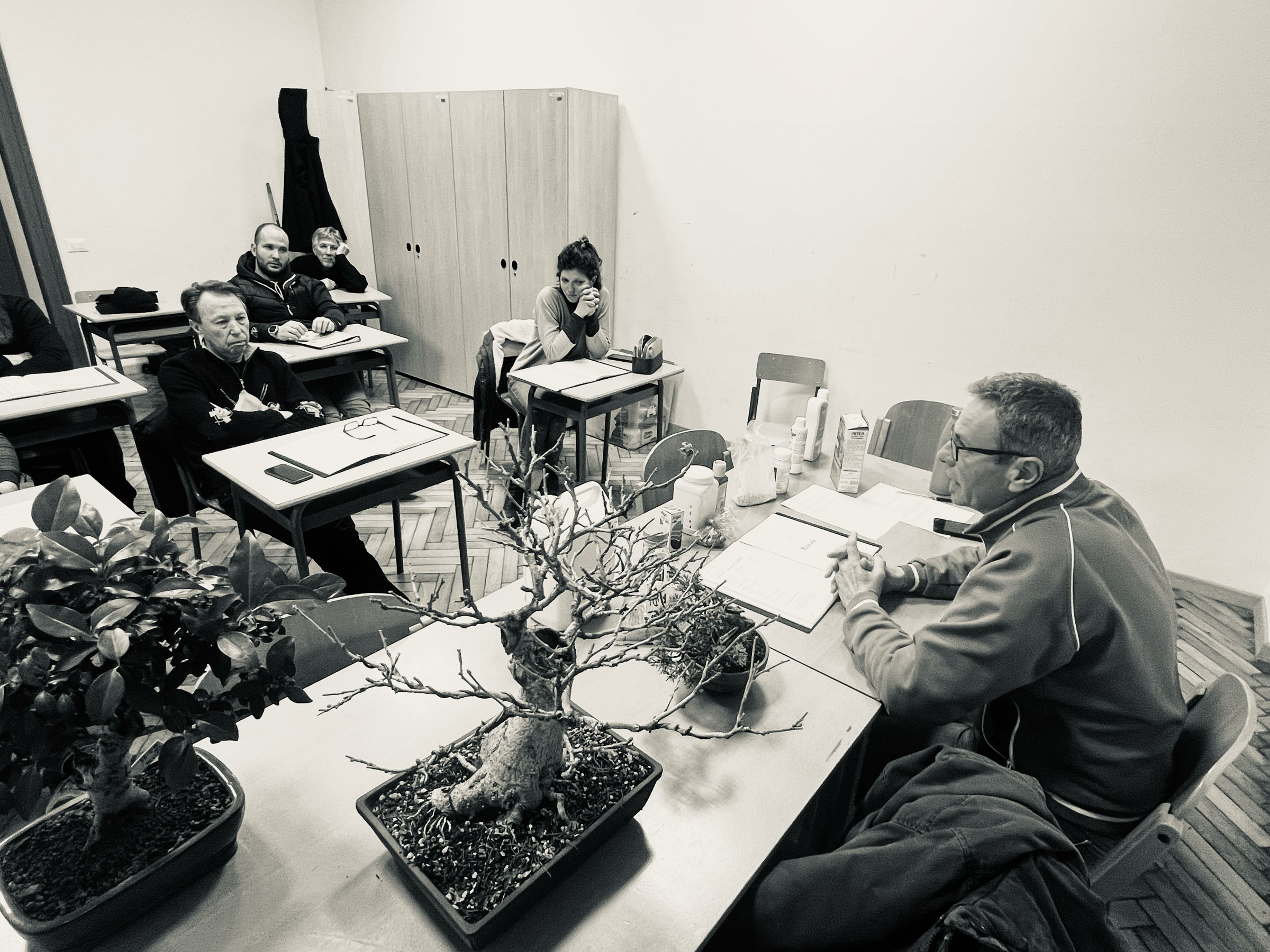 Laboratorio d’Arte Bonsai Staranzano Laboratorio d'Arte Bonsai Staranzano – Lezione Corso