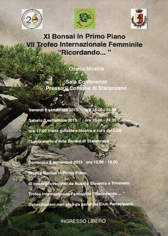 Edizione 2013