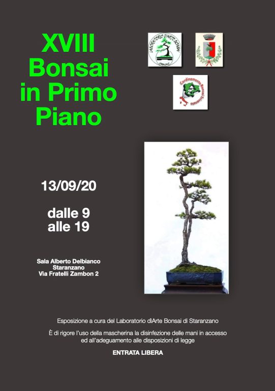 Edizione 2020