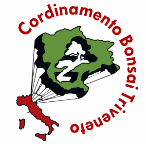 Logo Coordinamento Bonsai Triveneto