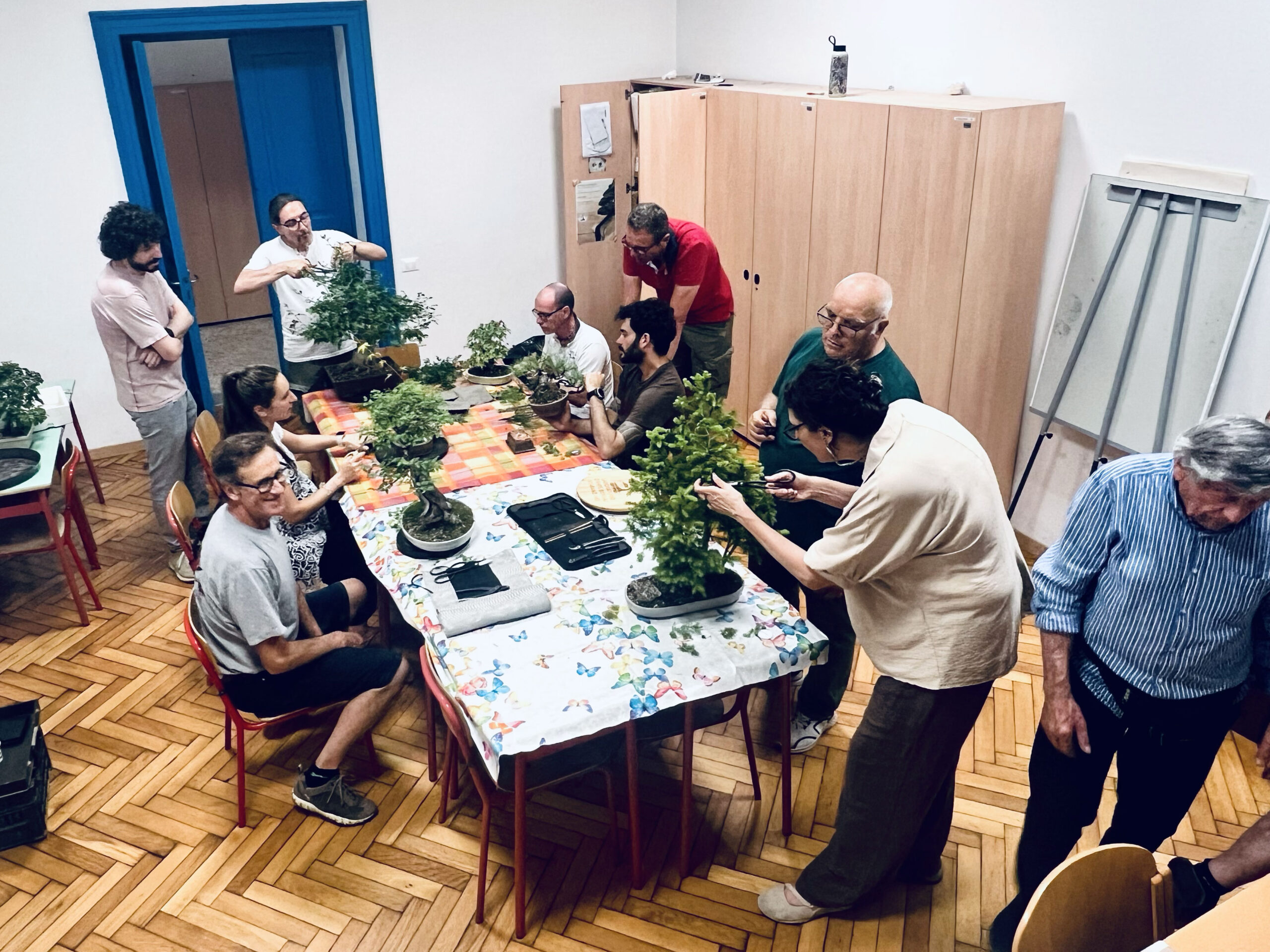 Laboratorio d’Arte Bonsai Staranzano Soci del Laboratorio d’Arte Bonsai Staranzano durante una serata del club dedicata alla cura e alla preparazione dei bonsai.